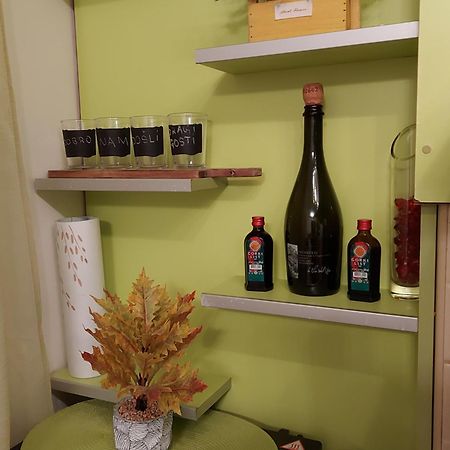 Stancicmilena Apartment Požarevac Екстериор снимка