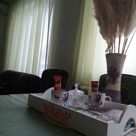 Stancicmilena Apartment Požarevac Екстериор снимка