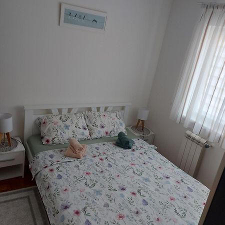 Stancicmilena Apartment Požarevac Екстериор снимка
