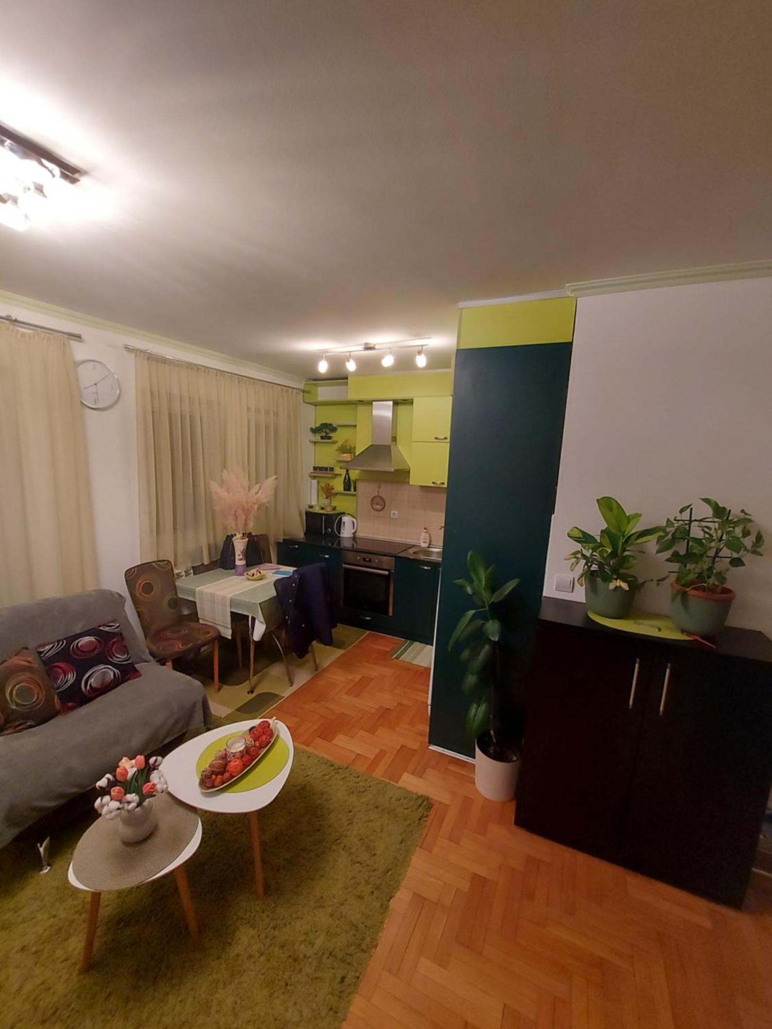 Stancicmilena Apartment Požarevac Екстериор снимка