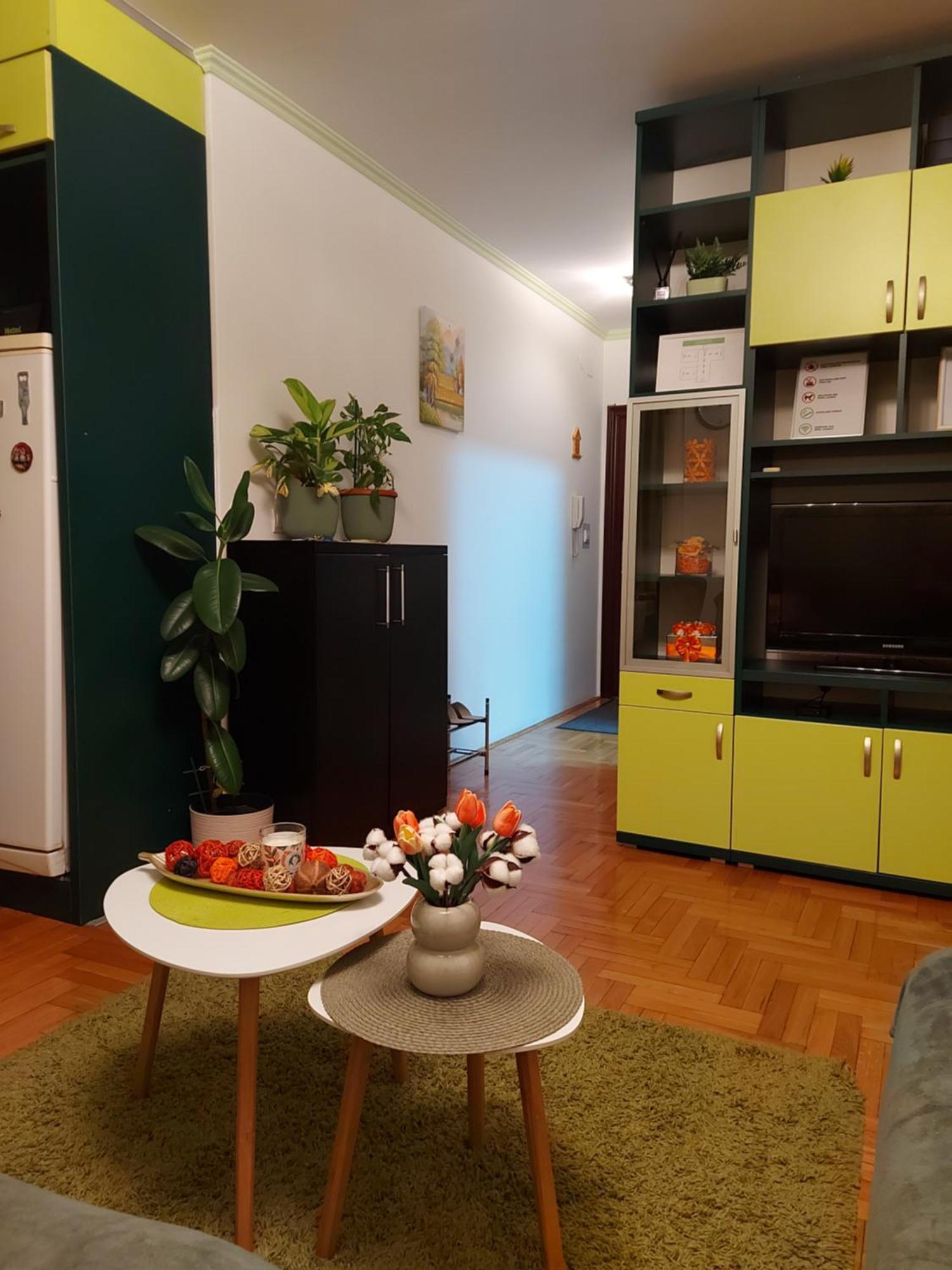 Stancicmilena Apartment Požarevac Екстериор снимка