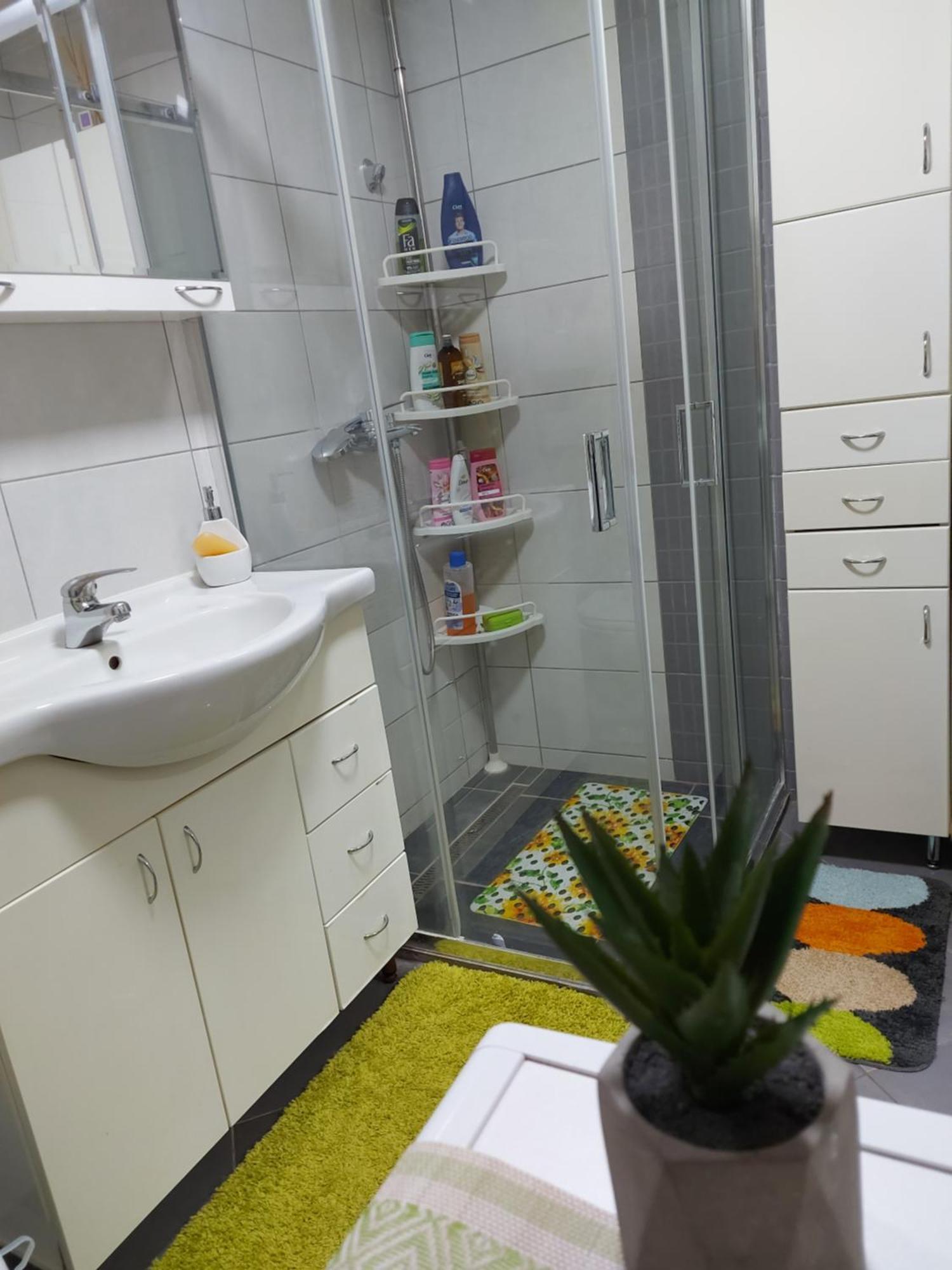 Stancicmilena Apartment Požarevac Екстериор снимка