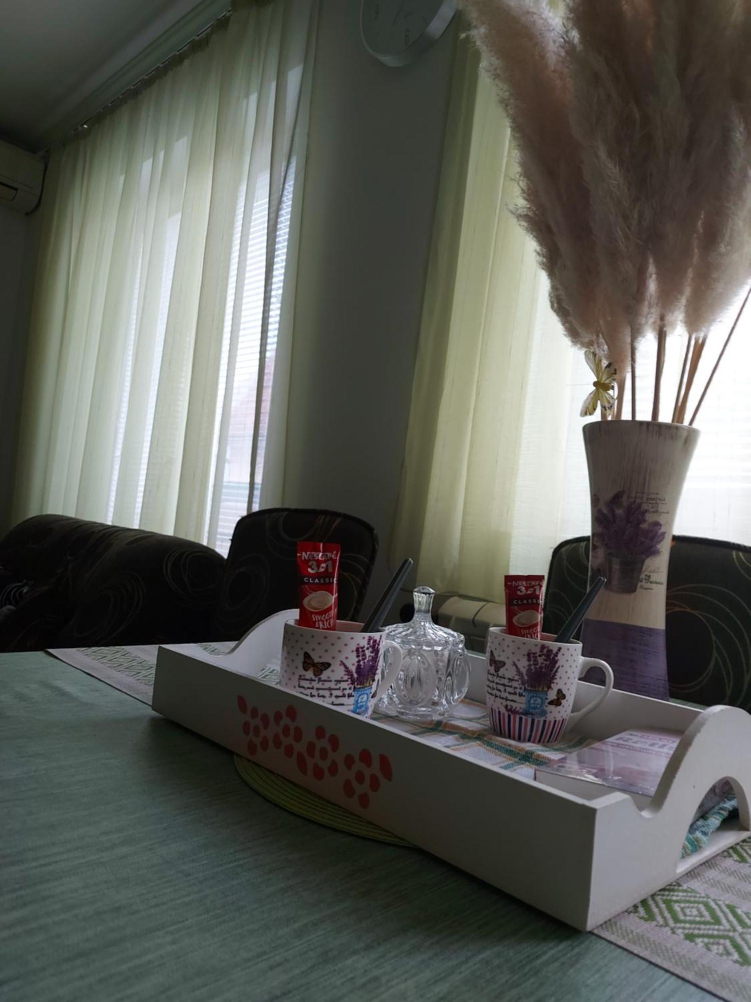 Stancicmilena Apartment Požarevac Екстериор снимка