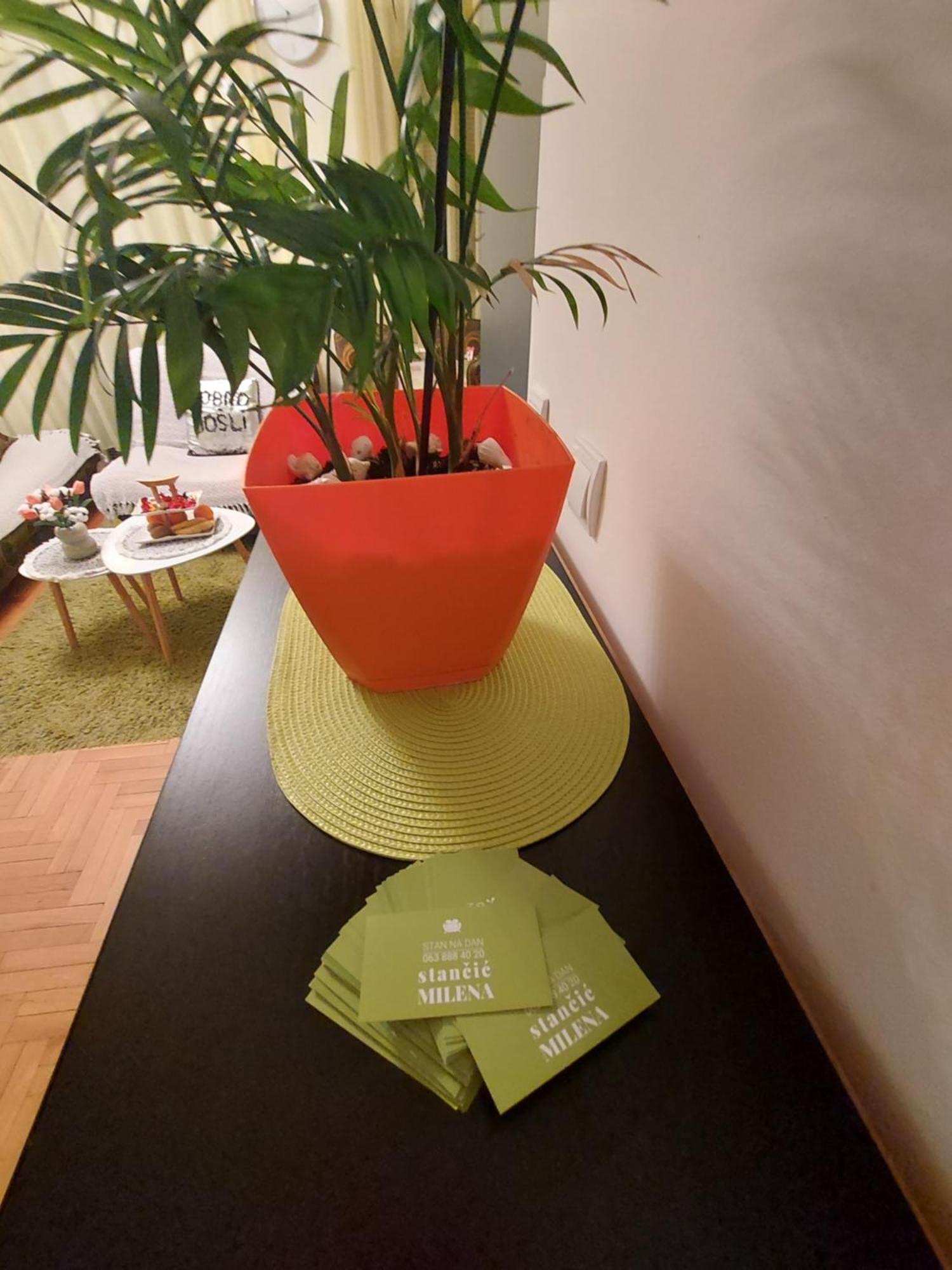 Stancicmilena Apartment Požarevac Екстериор снимка