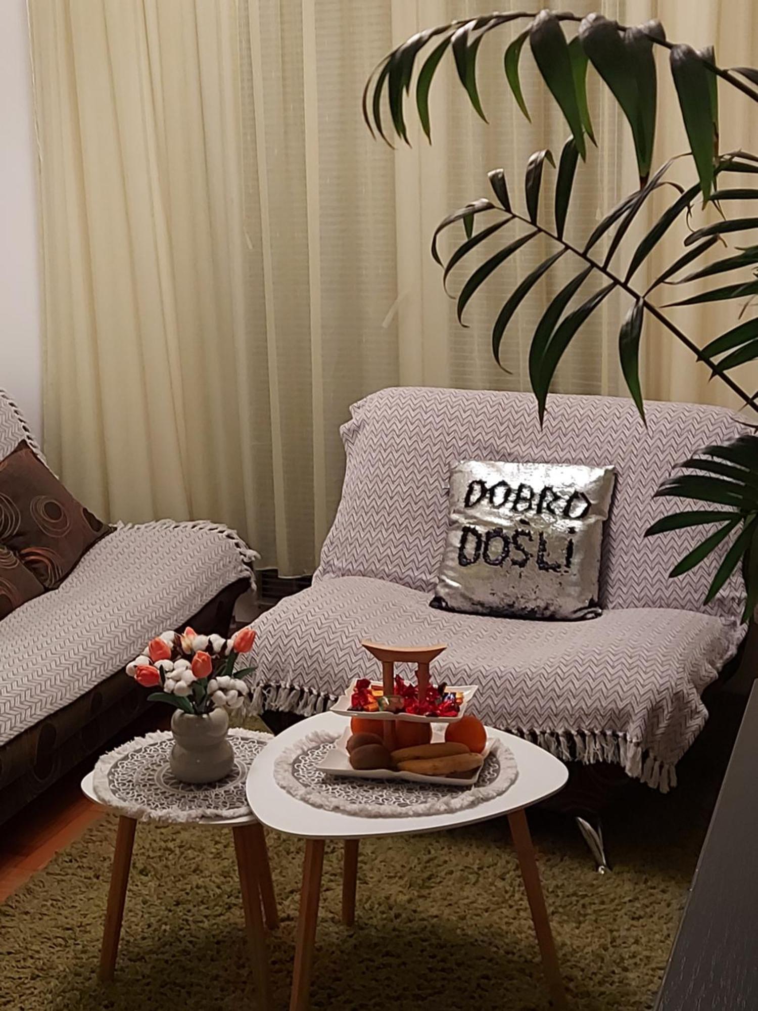 Stancicmilena Apartment Požarevac Екстериор снимка